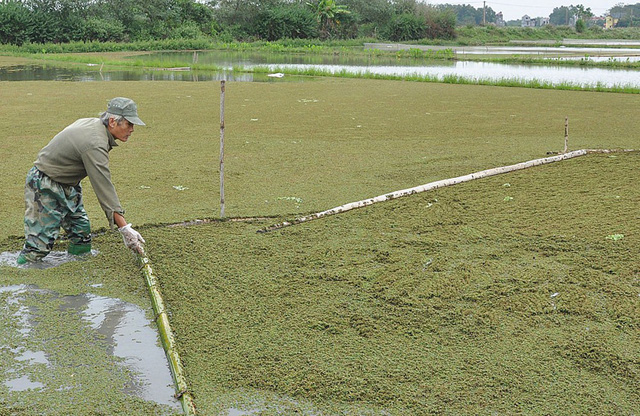 Ngày 8-12, TAND TP HCM mở phiên tòa sơ thẩm xét xử và tuyên phạt bị cáo Huỳnh Thị Ngọc Thu (42 tuổi; nội trợ; ngụ quận 8, TP HCM) án chung thân về tội "Mua bán trái phép chất ma túy". Theo cáo trạng, trưa 9-8-2016, Đội CSĐT tội phạm về ma túy, C